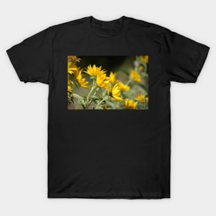 Windblown Sunflowers T-Shirt